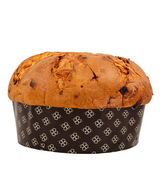 Panettone Albicocca